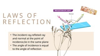 Physics light presentation class 8 cbse.pptx