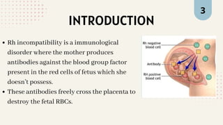INTRODUCTION
3
Rh incompatibility is a immunological
disorder where the mother produces
antibodies against the blood group factor
present in the red cells of fetus which she
doesn’t possess.
These antibodies freely cross the placenta to
destroy the fetal RBCs.
 
