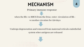 4
MECHANISM
when the Rh +ve RBCS from the fetus enter circulation of Rh -
ve mother circulate for 120 days
Primary immune response
Undergo degeneration and removed from maternal reticulo endothelial
system wher antigens are released
 