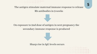 5
On exposure to 2nd dose of antigen in next pregnancy the
secondary immune response is produced
Sharp rise in IgG levels occurs
The antigen stimulate maternal immune response to release
Rh antibodies in 9 weeks
 