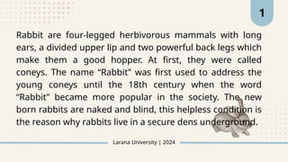 A Rabbit 4 Legs Beige Pastel Minimalist Thesis Defense Presentation.pptx_20250416 ...