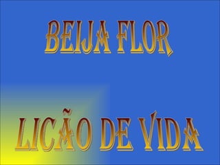 BEIJA FLOR LICÃO DE VIDA 