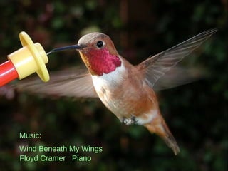 Music: Wind Beneath My Wings Floyd Cramer  Piano 
