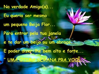 Na verdade Amigo(a)... Eu queria ser mesmo  um pequeno Beija Flor... Para entrar pela tua janela  e te dar um beijo ou um abraço.... E poder dizer-lhe bem alto e forte... “  UMA ÓTIMA SEMANA PRA VOCÊ . “ 