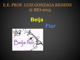 Beija
Flor
E.E. PROF. LUIZ GONZAGA RIGHINI
@ BIO-2015
 