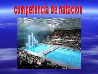 competencia de natación 