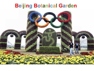 B e i j i n g   B o t a n i c a l   G a r d e n   