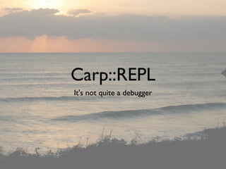Carp::REPL
It's not quite a debugger
 