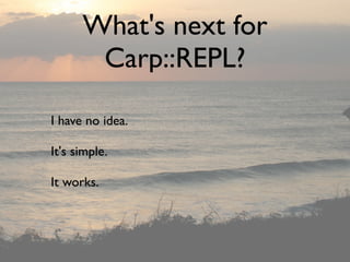 What's next for
       Carp::REPL?

I have no idea.

It's simple.

It works.
 
