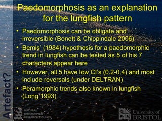 Living Fossil Vertebrates And Rates Of Evolution PPT Living Fossil Vertebrates And Rates Of Evolution 18 320