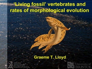 ‘Living fossil’ vertebrates and
rates of morphological evolution




         Graeme T. Lloyd
 