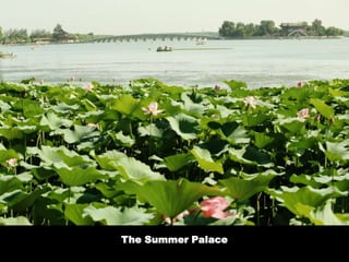 The Summer Palace