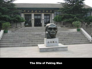 The Site of Peking Man