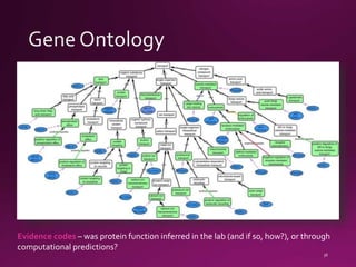 Evidence codes – was protein function inferred in the lab (and if so, how?), or through
computational predictions?
 