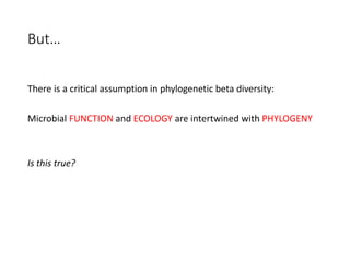 But…
There is a critical assumption in phylogenetic beta diversity:
Microbial FUNCTION and ECOLOGY are intertwined with PHYLOGENY
Is this true?
 