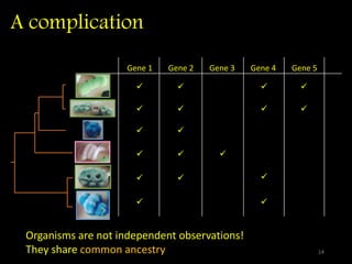 A complication
Organisms are not independent observations!
They share common ancestry
Gene 1 Gene 2 Gene 3 Gene 4 Gene 5


















14
 