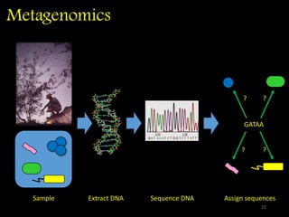 Metagenomics
Sample Extract DNA Sequence DNA Assign sequences
GATAA
? ?
??
22
 