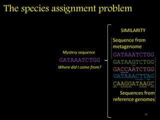 The species assignment problem
GATAAATCTGG
24
Mystery sequence
Where did I come from?
COMPOSITION
(k-mers)
k-mer frequency
AA 2/10
AC 0/10
AG 0/10
AT 1/10
k-mer frequency
AA 2/10
AC 0/10
AG 0/10
AT 1/10
k-mer frequency
AA 2/10
AC 0/10
AG 0/10
AT 1/10
k-mer frequency
AA 2/10
AC 0/10
AG 0/10
AT 1/10
k-mer frequency
AA 2/10
AC 0/10
AG 0/10
AT 1/10
Genome models
SIMILARITY
GATAAATCTGG
GATAAGTCTGG
GACCAATCTGG
GATAAACTTAG
CAAGGATAAGC
Sequences from
reference genomes
Sequence from
metagenome
 