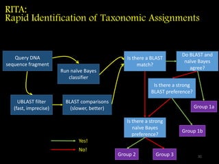 RITA:
Rapid Identification of Taxonomic Assignments
31
Query DNA
sequence fragment
Run naïve Bayes
classifier
UBLAST filter
(fast, imprecise)
BLAST comparisons
(slower, better)
Is there a BLAST
match?
Is there a strong
naïve Bayes
preference?
Do BLAST and
naïve Bayes
agree?
Is there a strong
BLAST preference?
Group 2 Group 3
Group 1a
Group 1b
Yes!
No!
 