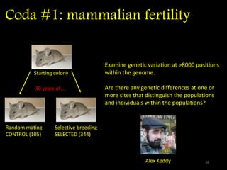 Coda #1: mammalian fertility
38
Random mating
CONTROL (105)
Selective breeding
SELECTED (344)
Starting colony
30 years of….
Examine genetic variation at >8000 positions
within the genome.
Are there any genetic differences at one or
more sites that distinguish the populations
and individuals within the populations?
Alex Keddy
Katherine
Rutherford
 