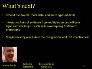 What’s next?
40Jeremy Koenig
- Expand the project: more data, and more types of data!
- Integrating lines of evidence from multiple sources will be a
significant challenge – each yields overlapping / different
predictions
- Map interesting results into the cow genome and test effectiveness
Developer to be
named later
 
