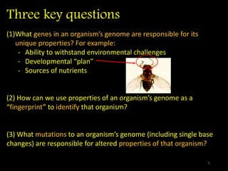 Three key questions
(1)What genes in an organism’s genome are responsible for its
unique properties? For example:
- Ability to withstand environmental challenges
- Developmental “plan”
- Sources of nutrients
(2) How can we use properties of an organism’s genome as a
“fingerprint” to identify that organism?
(3) What mutations to an organism’s genome (including single base
changes) are responsible for altered properties of that organism?
5
 