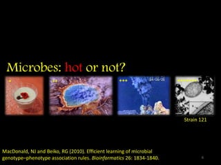 Microbes: hot or not?
+ ++ +++ +++++++
Strain 121
MacDonald, NJ and Beiko, RG (2010). Efﬁcient learning of microbial
genotype–phenotype association rules. Bioinformatics 26: 1834-1840. 6
 