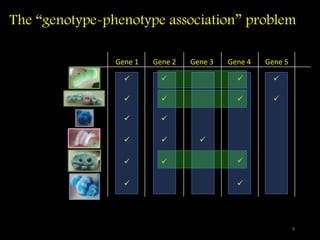 The “genotype-phenotype association” problem
Gene 1 Gene 2 Gene 3 Gene 4 Gene 5


















9
 
