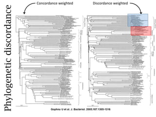 What is the meaning of this??
• Signal saturation + tiny branches that happened a
long, long, long time ago
• Other unpleasant biases (G+C, rates, etc)
• Lateral gene transfer
 