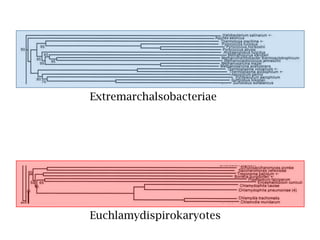 Finding LGT
en.wikipedia.org
 