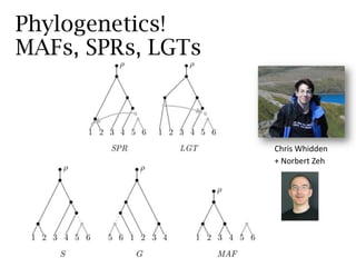 K-mersorcodonusage
Wang et al. (2001) MBE
 