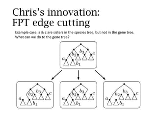 Phylogeneticdiscordance
Concordance weighted Discordance weighted
 