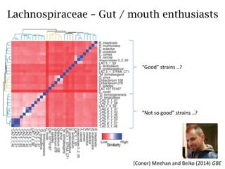 Hehemann et al. (2010) Nature
 