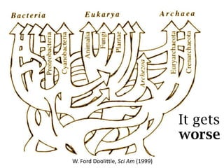 Creevey et al. Proc. R. Soc. Lond. B (2004)
Early ancestral signal
is probably gone
 