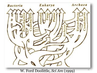 W. Ford Doolittle, Sci Am (1999) 10 
 