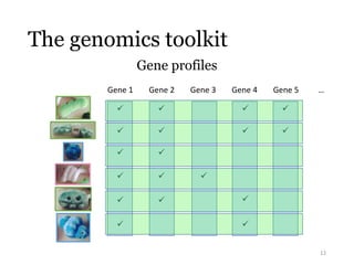 The genomics toolkit 
Gene profiles 
12 
Gene 1 Gene 2 Gene 3 Gene 4 Gene 5 
 
 
 
 
 
 
 
 
 
 
 
 
 
 
 
 
 
 
… 
 