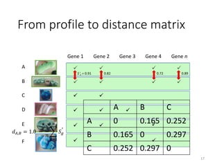 From profile to distance matrix 
 
 
 
 
 
 
 
 
17 
Gene 1 Gene 2 Gene 3 Gene 4 Gene n 
A 
B 
 
 
 
 
 
 
  
 
 
C 
D 
E 
F 
S1 = 0.91 0.82 0.72 0.89 
푑퐴,퐵 = 1.0 − 
1 
푛 
푛 
푔=1 
푆푔 A B C 
A 0 0.165 0.252 
B 0.165 0 0.297 
C 0.252 0.297 0 
 