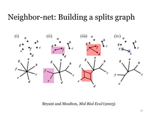20 
Neighbor-net: Building a splits graph 
Bryant and Moulton, Mol Biol Evol (2003) 
 