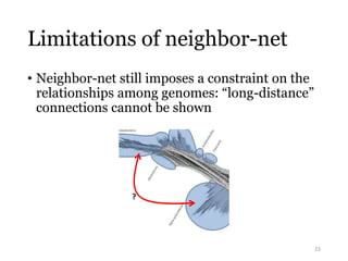 Limitations of neighbor-net 
• Neighbor-net still imposes a constraint on the 
relationships among genomes: “long-distance” 
connections cannot be shown 
23 
? 
 