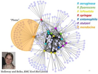 P. aeruginosa 
P. fluorescens 
P. lePewtida 
P. syringae 
P. entomophila 
P. stutzeri 
P. mendocina 
“Plume” 
Holloway and Beiko, BMC Evol Biol (2010) 
26 
 