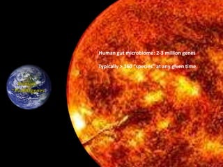 Human gut microbiome: 2-3 million genes 
Typically > 160 “species” at any given time 
Qin et al., Nature (2010) 
 