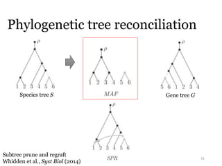 Phylogenetic tree reconciliation 
31 
Species tree S Lateral gene transfer Gene tree G 
Subtree prune and regraft 
Whidden et al., Syst Biol (2014) 
 