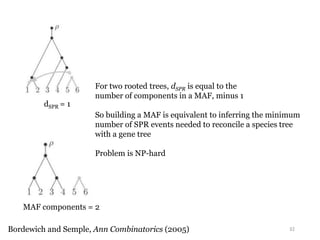32 
For two rooted trees, dSPR is equal to the 
number of components in a MAF, minus 1 
So building a MAF is equivalent to inferring the minimum 
number of SPR events needed to reconcile a species tree 
with a gene tree 
Problem is NP-hard 
dSPR = 1 
MAF components = 2 
Bordewich and Semple, Ann Combinatorics (2005) 
 