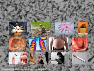 Microbial communities 
http://upload.wikimedia.org/wikipedia/commons/2/2d/Bacteria_%28251_31%29_Airborne_microbes.jpg 
4 
 