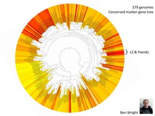 279 genomes 
Conserved marker-gene tree 
LZ & friends 
Ben Wright 
42 
 