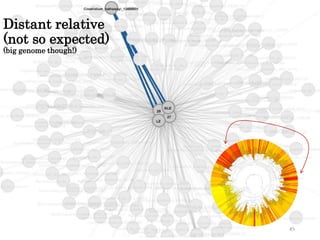 Distant relative 
(not so expected) 
(big genome though!) 
45 
 