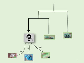 50 
33 
? 
4 
9 
 