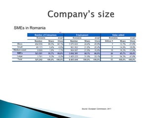 SMEs in Romania 
Source: European Commission, 2011  