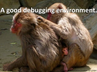 A good debugging environment.
h"p://www.ﬂickr.com/photos/anijdam/3587129389/
 