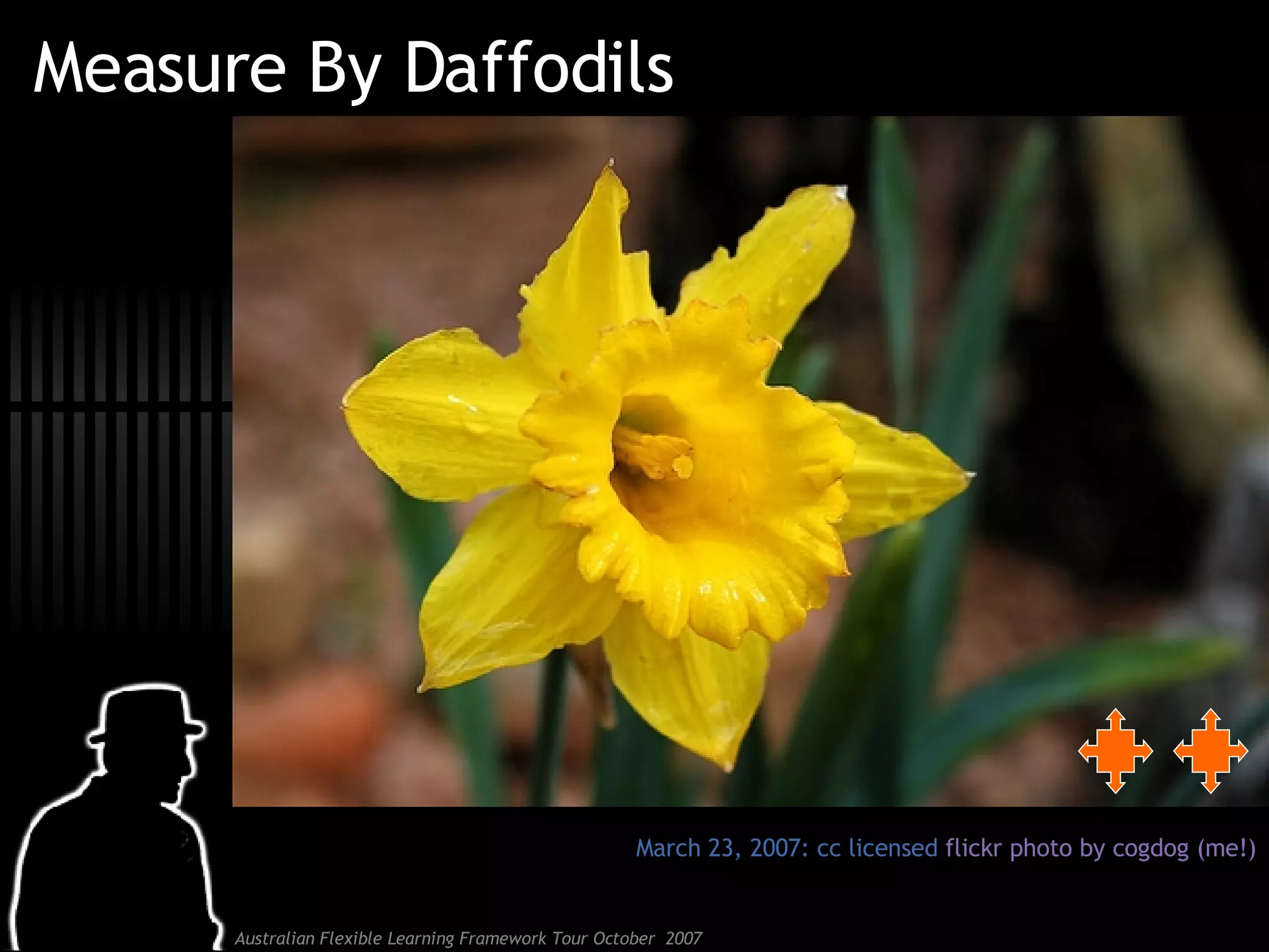 Measure By Daffodils March 23, 2007: cc licensed  flickr photo by cogdog (me!) 